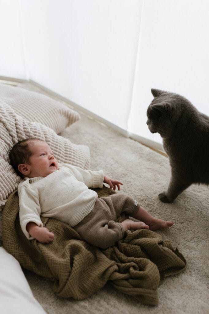Baby mit Katze bei einer Homestory in Offenburg.