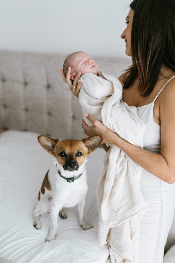 Mama mit Baby und Hund beim Baby-Fotoshooting mit Fensterlicht in Willstätt.